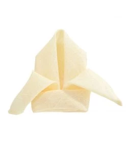 HIER_2210 Linen Napkins 5 Pack | Ivory Slubby Textured Cloth Dinner Napkins, Wrinkle Resistant Linen | 20