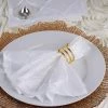 HIER_2210 5 Pack | White Pintuck Satin Cloth Dinner Napkins, Wrinkle Resistant | 17"x17" Linen Napkins