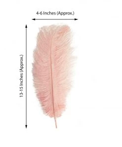HIER_5180 12 Pack | 13"-15" Rose Gold Natural Plume Real Ostrich Feathers Vase Centerpiece Chargers & Centerpieces 18 HIER_5180 12 Pack | 13