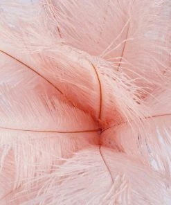 HIER_5180 12 Pack | 13"-15" Rose Gold Natural Plume Real Ostrich Feathers Vase Centerpiece Chargers & Centerpieces 28 HIER_5180 12 Pack | 13
