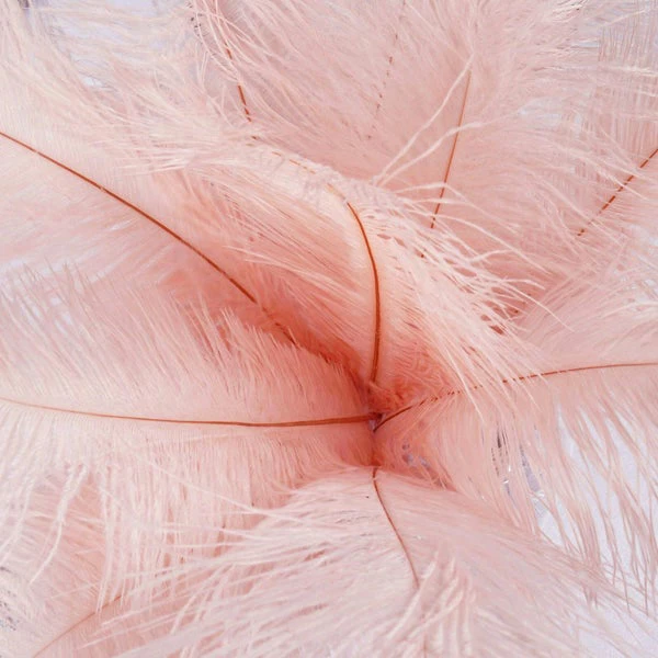 HIER_5180 12 Pack | 13"-15" Rose Gold Natural Plume Real Ostrich Feathers Vase Centerpiece Chargers & Centerpieces 13 HIER_5180 12 Pack | 13"-15" Rose Gold Natural Plume Real Ostrich Feathers Vase Centerpiece Chargers & Centerpieces