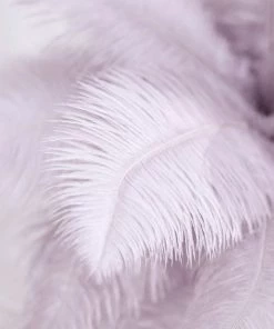 HIER_5180 Chargers & Centerpieces 12 Pack | 13