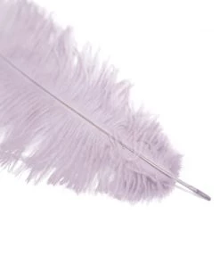 HIER_5180 Chargers & Centerpieces 12 Pack | 13