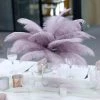 HIER_5180 Chargers & Centerpieces 12 Pack | 13"-15" Violet Amethyst Natural Plume Real Ostrich Feathers Vase Centerpiece