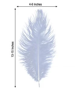 HIER_5180 12 Pack | 13