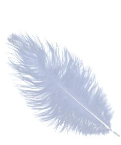 HIER_5180 12 Pack | 13