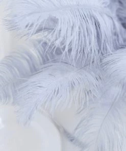 HIER_5180 12 Pack | 13