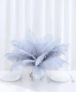 HIER_5180 12 Pack | 13