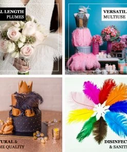 HIER_5180 12 Pack | 13"-15" Rose Gold Natural Plume Real Ostrich Feathers Vase Centerpiece Chargers & Centerpieces 19 HIER_5180 12 Pack | 13