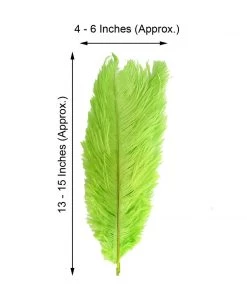 HIER_5170 12 Pack | 13