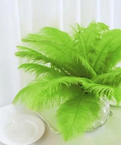 HIER_5170 12 Pack | 13