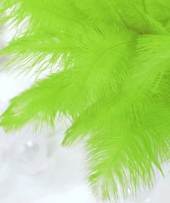 HIER_5170 12 Pack | 13