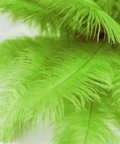 HIER_5170 12 Pack | 13