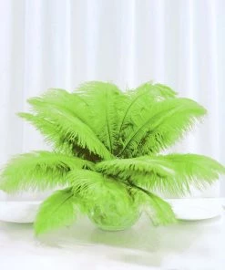 HIER_5170 12 Pack | 13"-15" Green Natural Plume Real Ostrich Feathers Vase Centerpiece