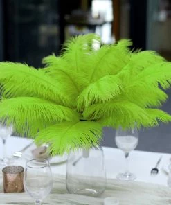 HIER_5170 12 Pack | 13"-15" Green Natural Plume Real Ostrich Feathers Vase Centerpiece