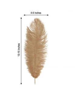 HIER_5180 12 Pack | 13