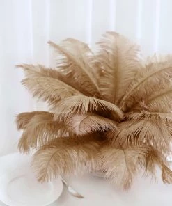 HIER_5180 12 Pack | 13"-15" Natural Plume Real Ostrich Feathers Vase Centerpiece
