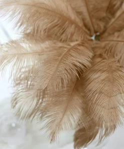 HIER_5180 12 Pack | 13