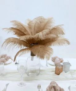 HIER_5180 12 Pack | 13