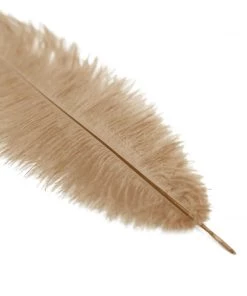 HIER_5180 12 Pack | 13