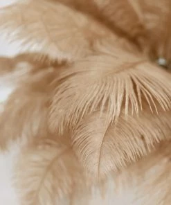 HIER_5180 12 Pack | 13