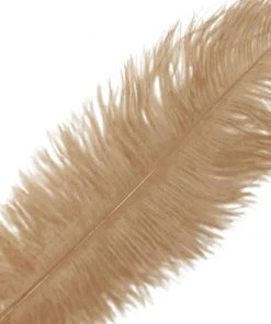 HIER_5180 12 Pack | 13