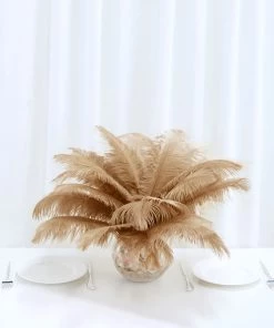 HIER_5180 12 Pack | 13