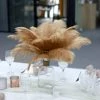 HIER_5180 12 Pack | 13"-15" Natural Plume Real Ostrich Feathers Vase Centerpiece