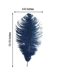 HIER_5180 12 Pack | 13