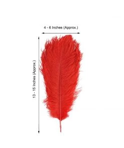 HIER_5170 12 Pack | 13"-15" Red Natural Plume Real Ostrich Feathers Vase Centerpiece Chargers & Centerpieces 16 HIER_5170 12 Pack | 13