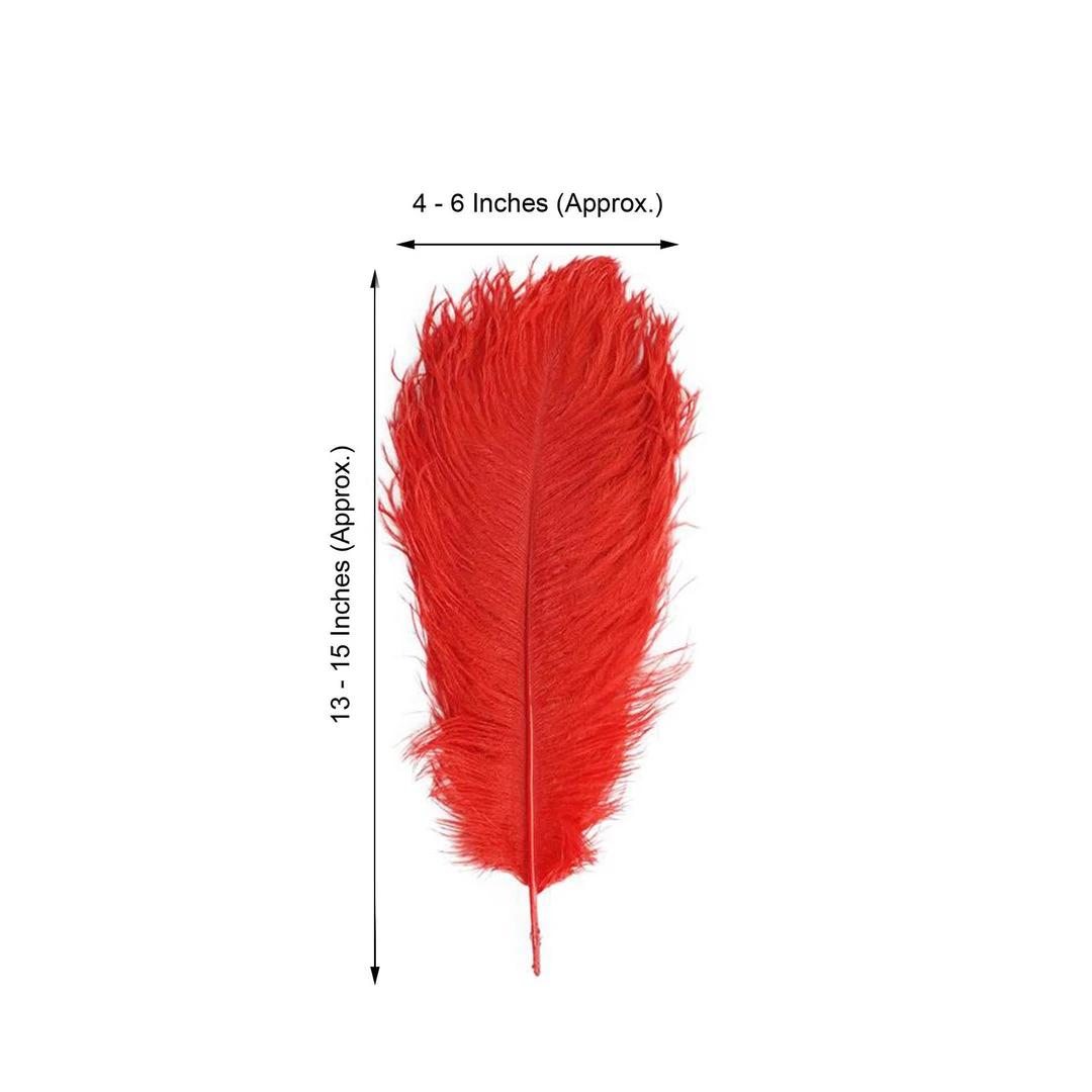HIER_5170 12 Pack | 13"-15" Red Natural Plume Real Ostrich Feathers Vase Centerpiece Chargers & Centerpieces 3 HIER_5170 12 Pack | 13"-15" Red Natural Plume Real Ostrich Feathers Vase Centerpiece Chargers & Centerpieces