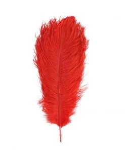HIER_5170 12 Pack | 13"-15" Red Natural Plume Real Ostrich Feathers Vase Centerpiece Chargers & Centerpieces 26 HIER_5170 12 Pack | 13