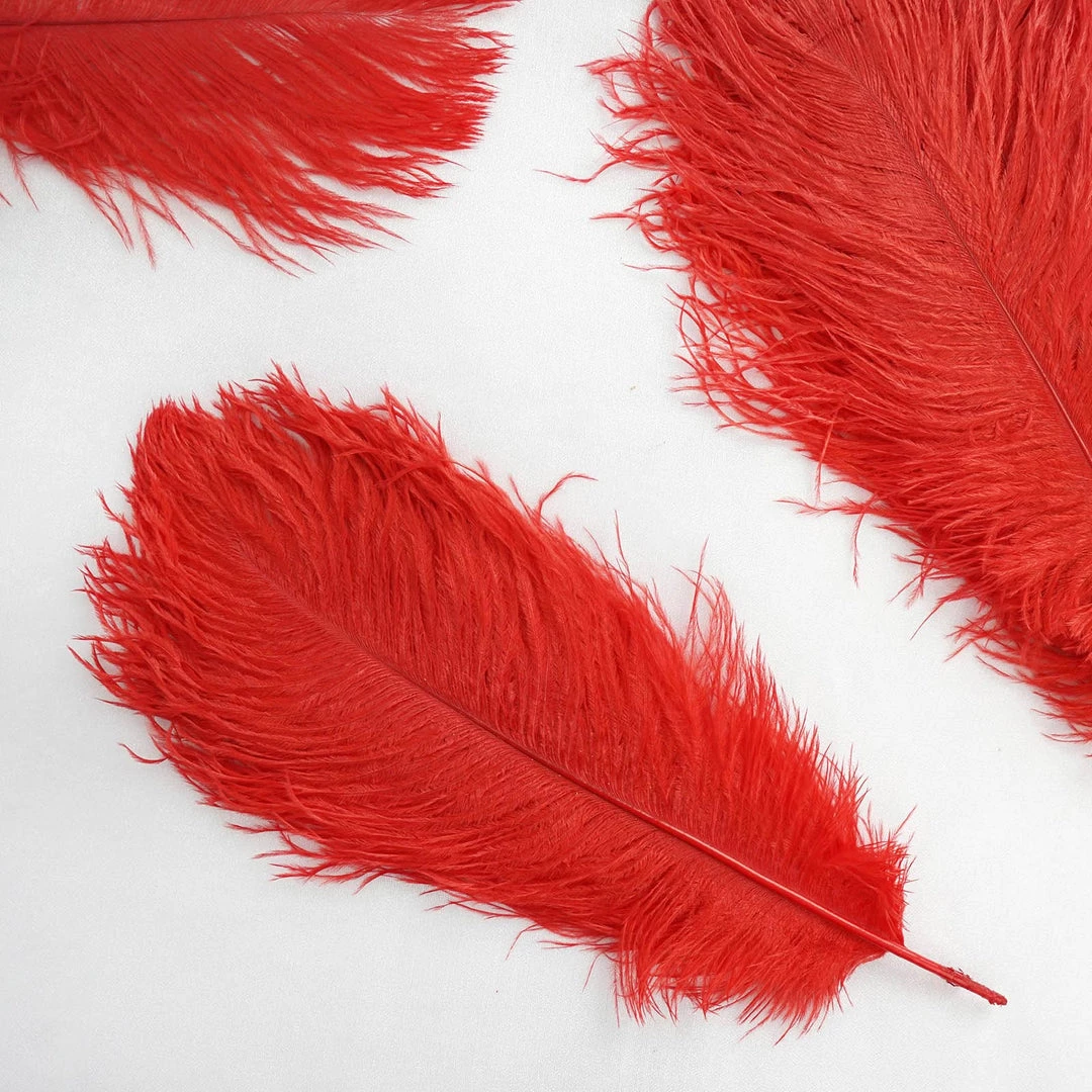 HIER_5170 12 Pack | 13"-15" Red Natural Plume Real Ostrich Feathers Vase Centerpiece Chargers & Centerpieces 8 HIER_5170 12 Pack | 13"-15" Red Natural Plume Real Ostrich Feathers Vase Centerpiece Chargers & Centerpieces
