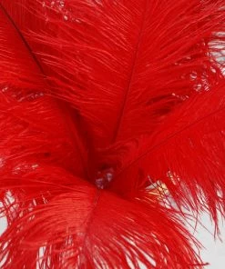 HIER_5170 12 Pack | 13"-15" Red Natural Plume Real Ostrich Feathers Vase Centerpiece Chargers & Centerpieces 23 HIER_5170 12 Pack | 13