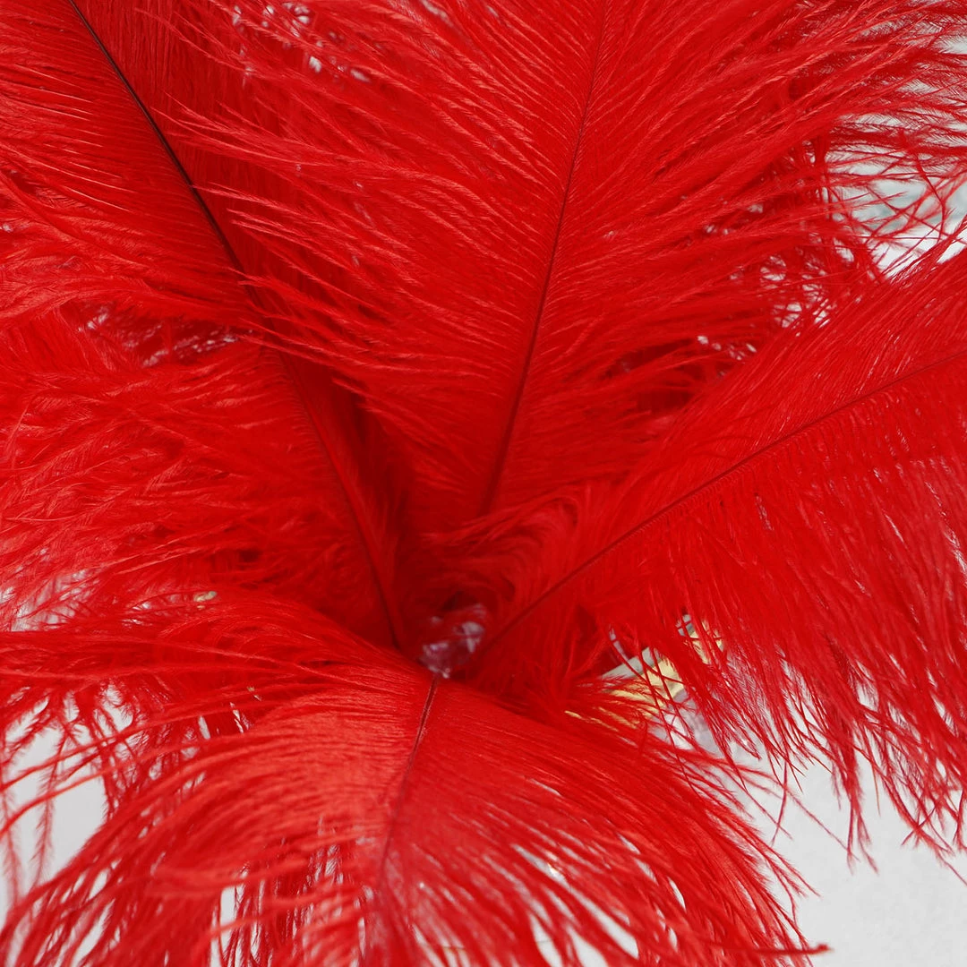 HIER_5170 12 Pack | 13"-15" Red Natural Plume Real Ostrich Feathers Vase Centerpiece Chargers & Centerpieces 10 HIER_5170 12 Pack | 13"-15" Red Natural Plume Real Ostrich Feathers Vase Centerpiece Chargers & Centerpieces