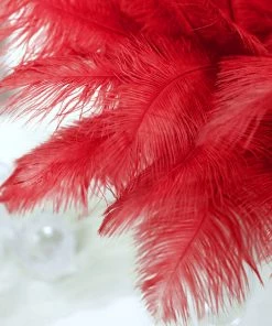 HIER_5170 12 Pack | 13"-15" Red Natural Plume Real Ostrich Feathers Vase Centerpiece Chargers & Centerpieces 24 HIER_5170 12 Pack | 13