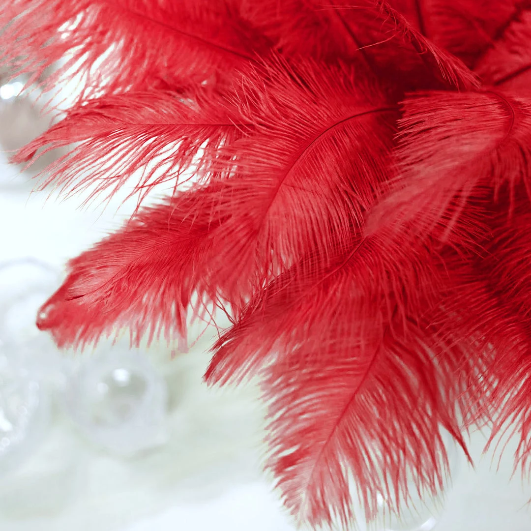 HIER_5170 12 Pack | 13"-15" Red Natural Plume Real Ostrich Feathers Vase Centerpiece Chargers & Centerpieces 11 HIER_5170 12 Pack | 13"-15" Red Natural Plume Real Ostrich Feathers Vase Centerpiece Chargers & Centerpieces