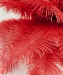 HIER_5170 12 Pack | 13"-15" Red Natural Plume Real Ostrich Feathers Vase Centerpiece Chargers & Centerpieces 25 HIER_5170 12 Pack | 13