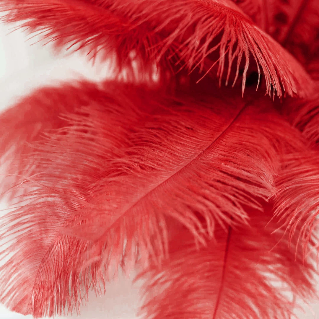 HIER_5170 12 Pack | 13"-15" Red Natural Plume Real Ostrich Feathers Vase Centerpiece Chargers & Centerpieces 12 HIER_5170 12 Pack | 13"-15" Red Natural Plume Real Ostrich Feathers Vase Centerpiece Chargers & Centerpieces