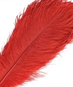 HIER_5170 12 Pack | 13"-15" Red Natural Plume Real Ostrich Feathers Vase Centerpiece Chargers & Centerpieces 27 HIER_5170 12 Pack | 13