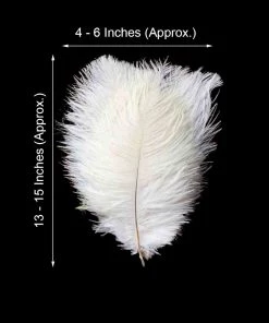 HIER_5170 12 Pack | 13