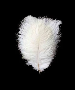 HIER_5170 12 Pack | 13