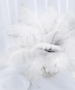 HIER_5170 12 Pack | 13