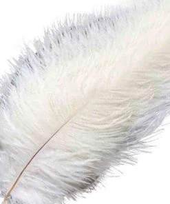 HIER_5170 12 Pack | 13