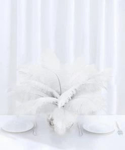 HIER_5170 12 Pack | 13"-15" White Natural Plume Real Ostrich Feathers Vase Centerpiece