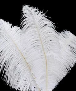 HIER_5170 12 Pack | 13