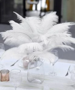 HIER_5170 12 Pack | 13"-15" White Natural Plume Real Ostrich Feathers Vase Centerpiece