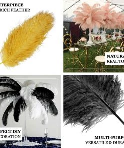 HIER_5180 Set Of 12 | 24