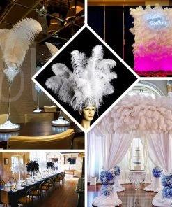 HIER_5180 Set Of 12 | 24