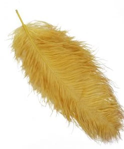 HIER_5180 Set Of 12 | 24